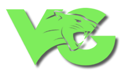 Vici Gaming (VG) is a Chinese professional esports organization based in Shanghai. 